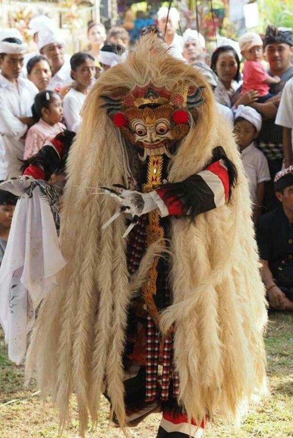 Halumba Eco Villa Bali Tejakula Esterno foto